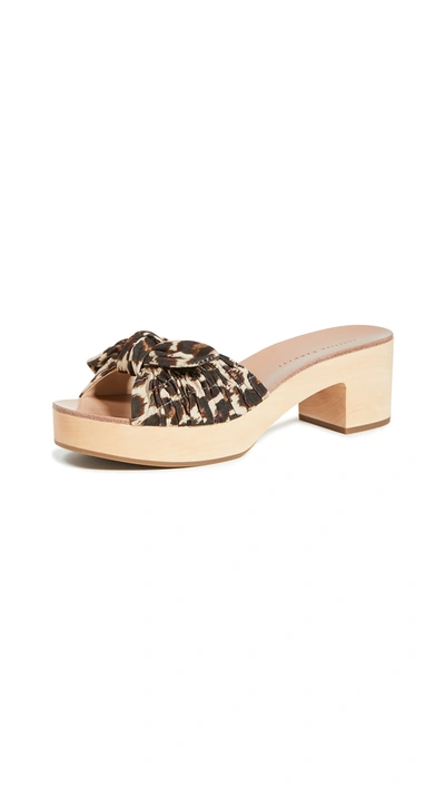Shop Loeffler Randall Regina Clog Slide Sandals In Chocolate Leopard