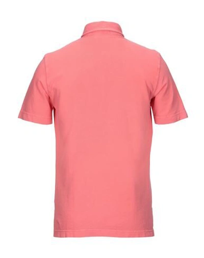 Shop Drumohr Man Polo Shirt Salmon Pink Size Xs Cotton