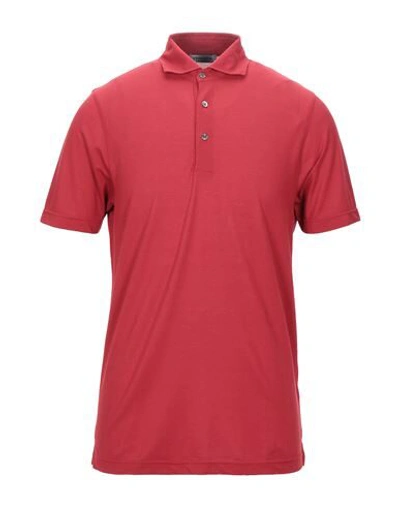 Shop Vengera Polo Shirts In Red