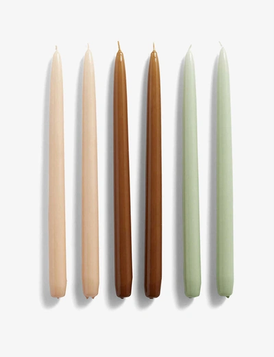 Shop Hay Conical Taper Candles Set Of Six