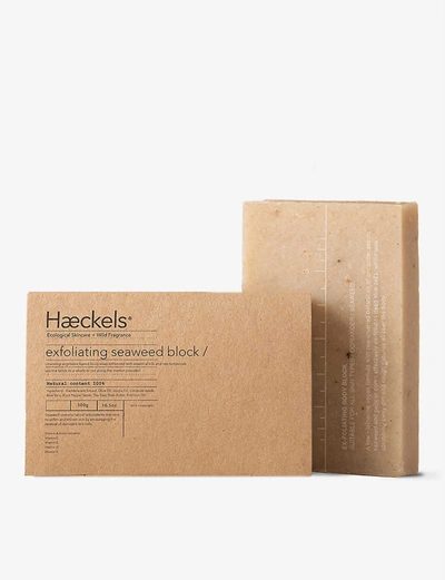 Shop Haeckels Exfoliating Seaweed Block 320g