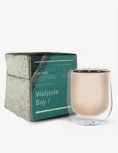 Shop Haeckels Walpole Bay Candle 270g