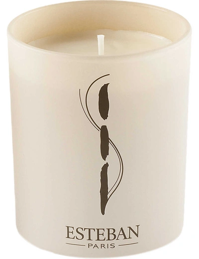 Esteban Cedre Scented Vegetable-wax Candle In Nero