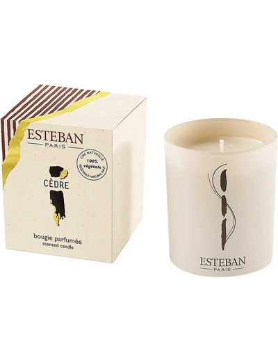 Esteban Cedre Scented Vegetable-wax Candle In Nero