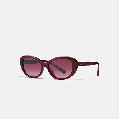 Shop Coach Signature Chain Cat Eye Sunglasses - Women's In Aubergine