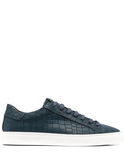 Hide & Jack Crocodile Embossed Sneakers In Blue