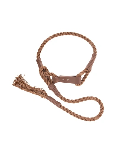 Shop Max Mara Vespa Belt In Brown Cotton Rope