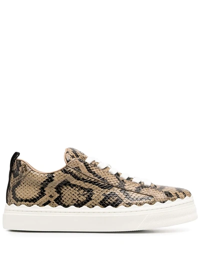 Shop Chloé Snake-print Low-top Sneakers In Neutrals