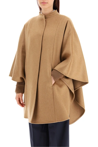 Shop Max Mara Addi Cape In Camello