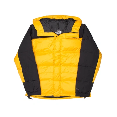 Shop The North Face Himalayan Down Parka In Yellow