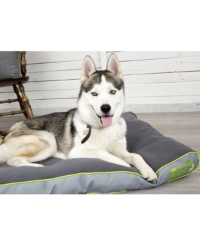 Shop Scruffs Eco Slim Line Urban Dog Mattress, Large In Gray