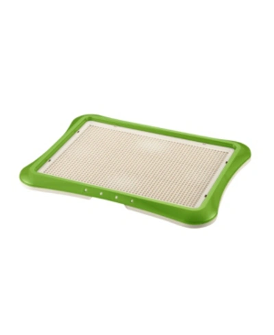 Shop Richell Paw Trax Mesh Training Tray In Green