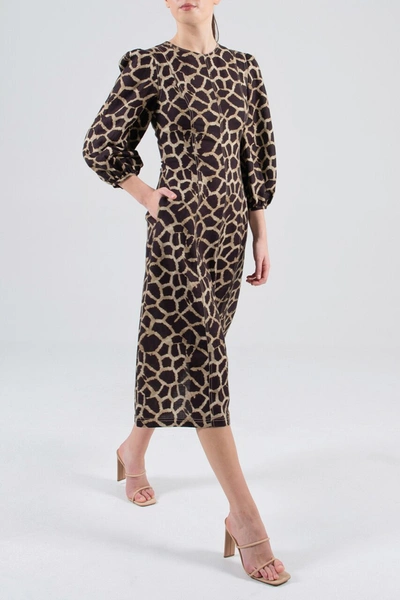 Shop Rebecca Vallance Acacia Long Sleeve Midi Dress In Brown