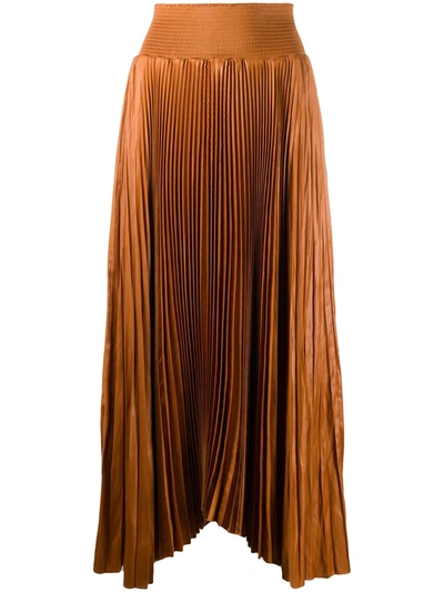 Shop A.l.c Pleated Maxi Hem In Brown