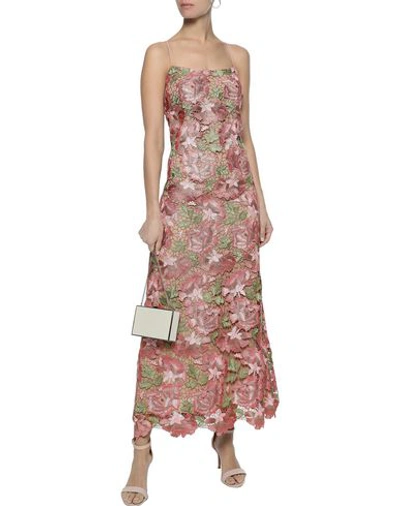 Shop Anna Sui Long Dress In Pink