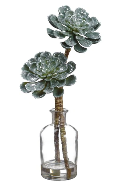 Shop Allstate Glitter Echeveria In Vase In Green Ice