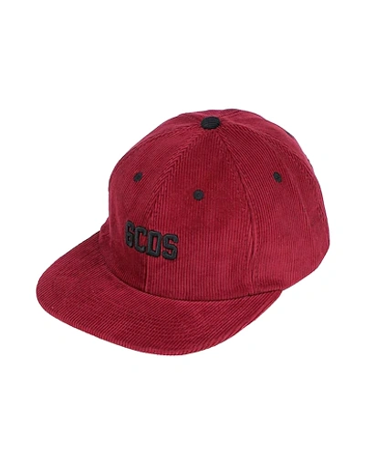 Shop Gcds Man Hat Burgundy Size Onesize Cotton In Red