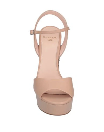 Shop Chantal Sandals In Pale Pink