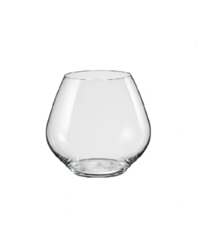 Shop Red Vanilla Amoroso Stemless Wine Glass 14.75 oz Set Of 2 In Clear