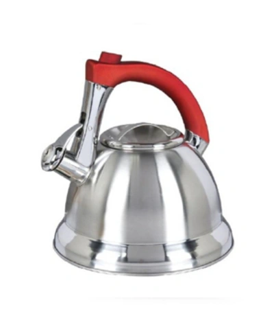 Shop Megagoods Mr. Coffee 2.4 Qt Tea Kettle With Handle In Silver