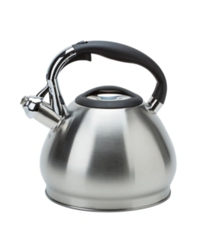 Shop Kitchen Details 10 Cup Stainless Steel Tea Kettle In Silver