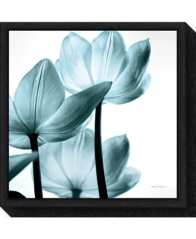 Shop Amanti Art Translucent Tulips Iii Aqua By Debra Van Swearingen Canvas Framed Art In Black
