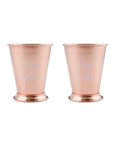 Shop Thirstystone By Cambridge Stainless Steel Silver Mint Julep Cups, Set Of 2 In Steel Copper