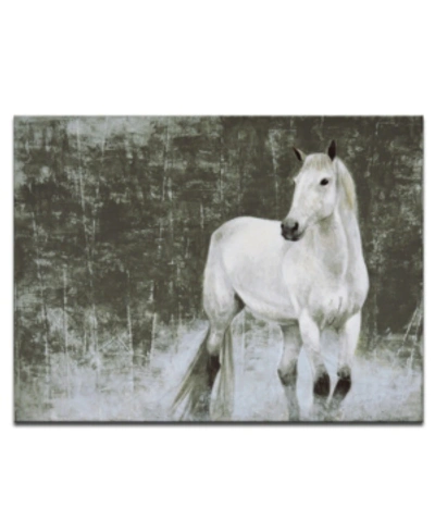 Shop Ready2hangart , 'white Horse Canvas Wall Art, 30x40" In Multi