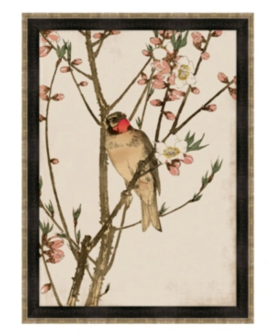 Shop Melissa Van Hise Ruby Throat And Peach Blossoms Framed Giclee Wall Art In Multi