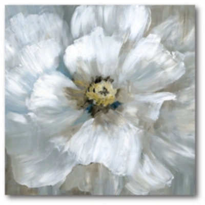 COURTSIDE MARKET SOFT SOLACE DETAIL I GALLERY-WRAPPED CANVAS WALL ART 