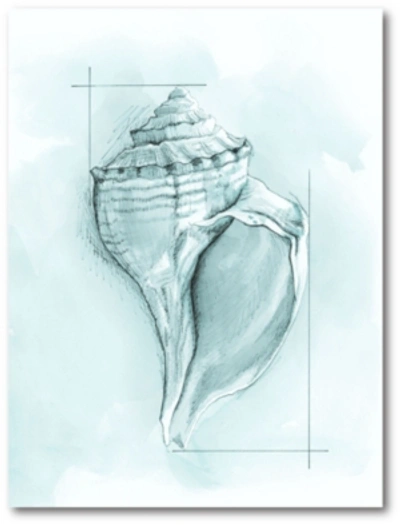 COURTSIDE MARKET BLUE SHELL I GALLERY-WRAPPED CANVAS WALL ART 