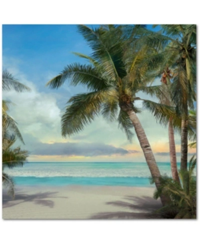 COURTSIDE MARKET A FOUND PARADISE II 24" X 24" GALLERY-WRAPPED CANVAS WALL ART 