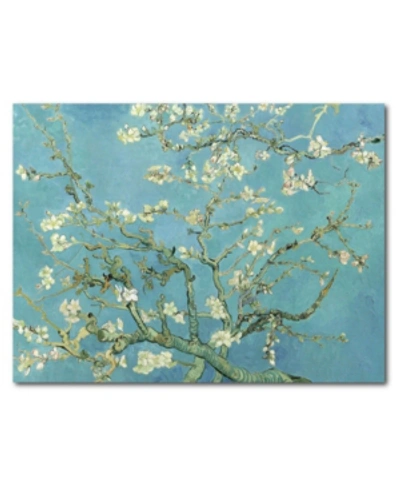 Shop Courtside Market Van Gogh Cherry Blossoms 16" X 20" Gallery-wrapped Canvas Wall Art In Multi