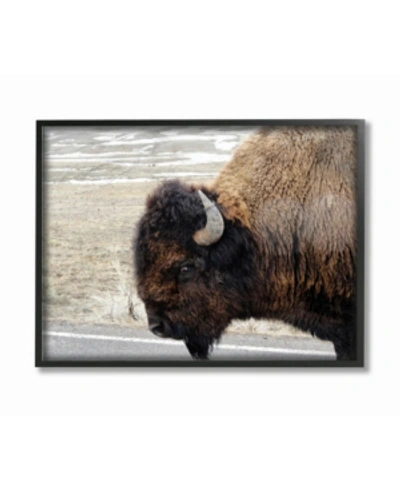 Shop Stupell Industries Beautiful Buffalo Photography Framed Giclee Art, 11" X 14" In Multi