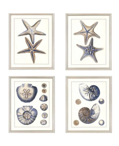 Shop Paragon Sea Life Framed Wall Art Set Of 4, 22" X 18" In Multi