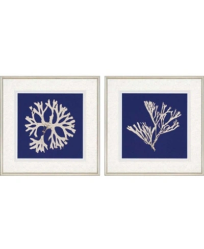 Shop Paragon Seaweed On Navy I Framed Wall Art Set Of 2, 27" X 27" In Multi