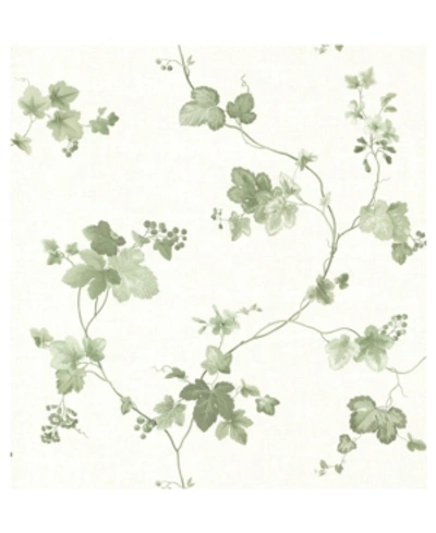 Shop Advantage 20.5" X 369" Symon Leaf Trail Wallpaper In Green