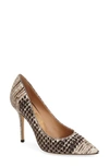 FERRAGAMO 'Susi' Pump (Women)