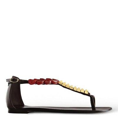 Shop Giuseppe Zanotti - Flat Suede Sandal With Accessory Sydney In Brown