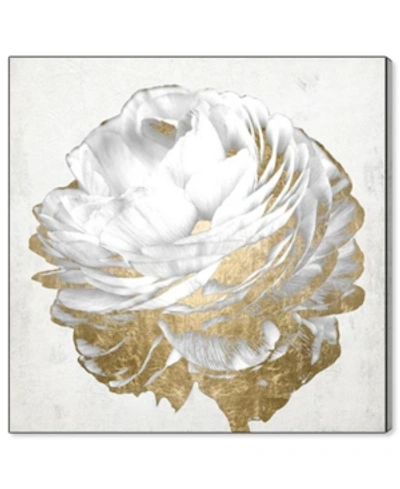 Shop Oliver Gal 21250 Gold And Light Floral White Canvas Art - 36" X 36" X 1.5"