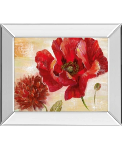 CLASSY ART PASSION FOR POPPIES II BY NAN MIRROR FRAMED PRINT WALL ART, 22" X 26" 