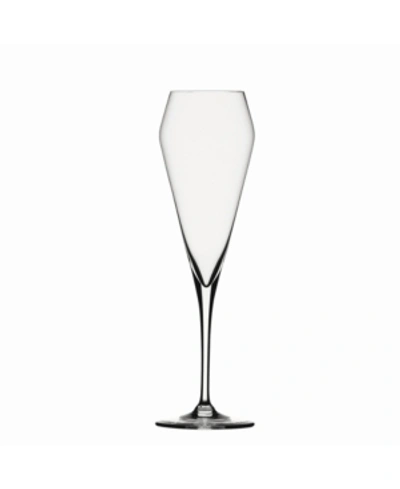 Shop Spiegelau Willsberger Champagne Wine Glasses, Set Of 4, 8.5 oz In Clear