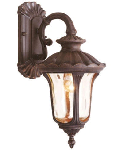 Shop Livex Oxford Bronze 16'' Down-sconce