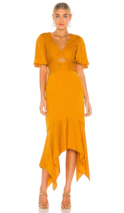 Shop Amur Tezza Dress In Gold