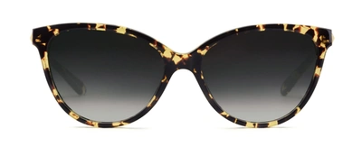 Shop Krewe Monroe Zulu 24k Cateye Sunglasses In Brown