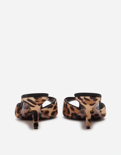Shop Dolce & Gabbana Leopard-print Pony Hair Mules