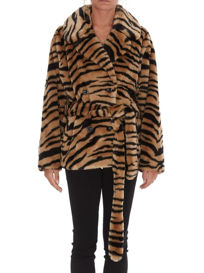 Shop Stand Studio Tiffany Tiger Print Belted Jacket In Multi