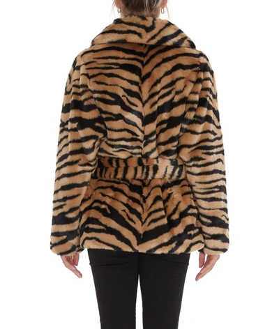 Shop Stand Studio Tiffany Tiger Print Belted Jacket In Multi