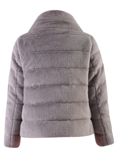 Shop Herno Zip In Grey