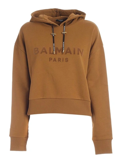 Shop Balmain Flocked Logo Cropped Hoodie In Brown